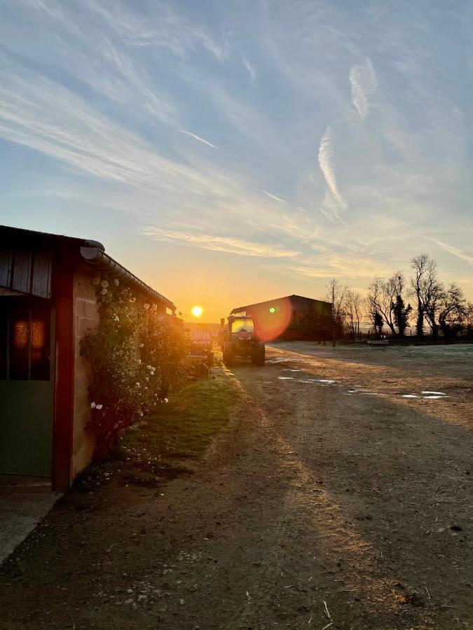 Chambre à la ferme Precy-le-Sec Esterno foto