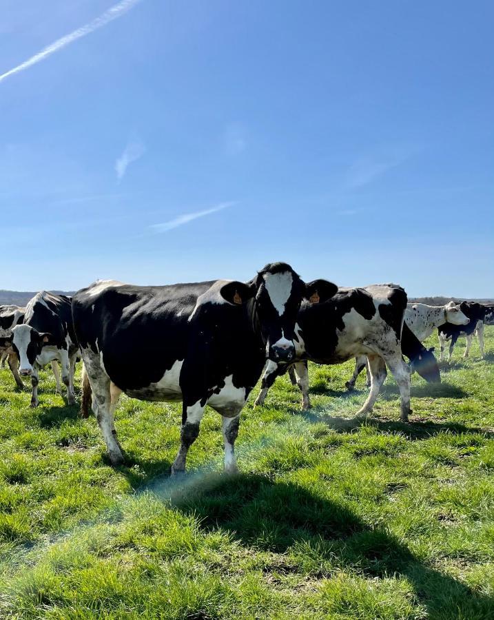 Chambre à la ferme Precy-le-Sec Esterno foto